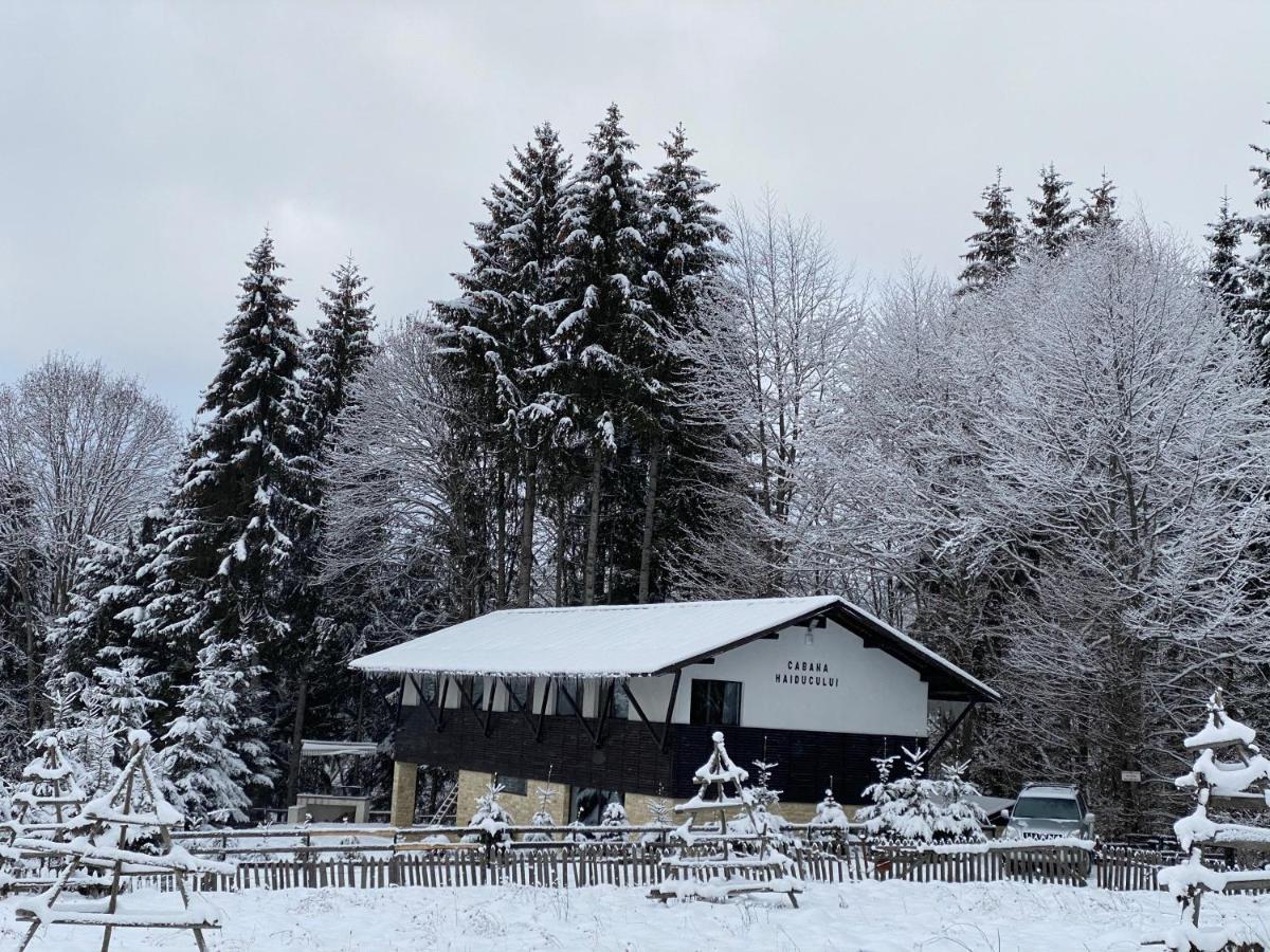 Cabana Haiducului Teşila Exterior foto