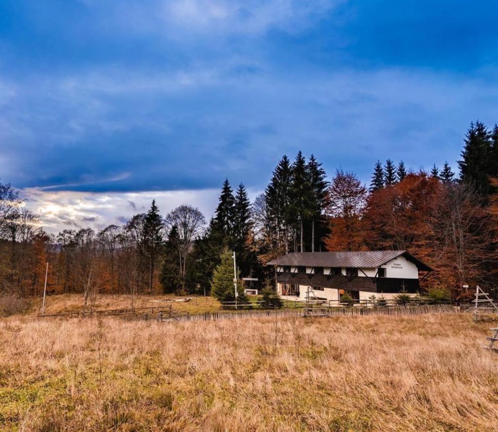Cabana Haiducului Teşila Exterior foto